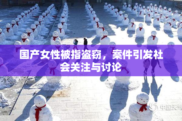 国产女性被指盗窃，案件引发社会关注与讨论
