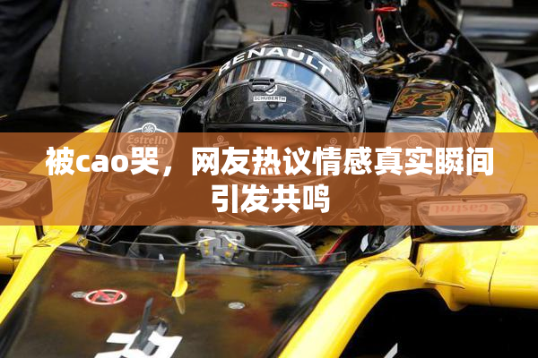 被cao哭，网友热议情感真实瞬间引发共鸣