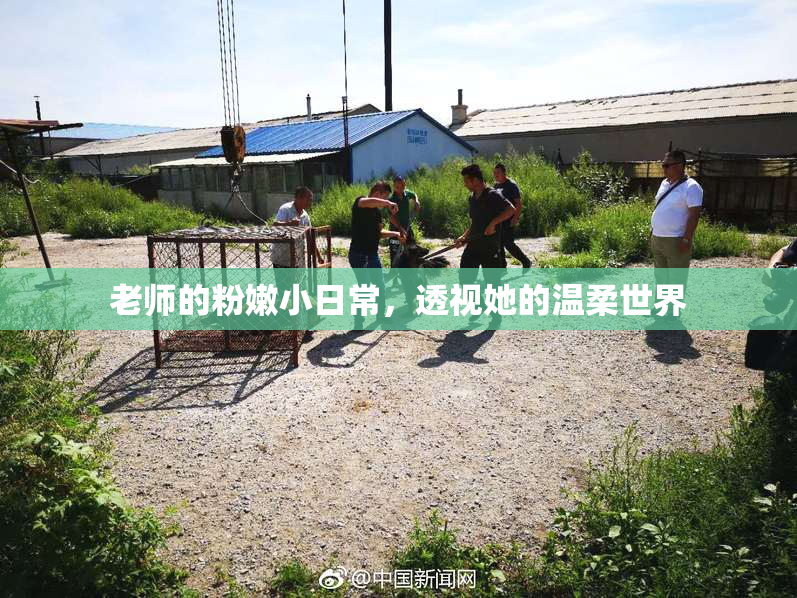 老师的粉嫩小日常，透视她的温柔世界