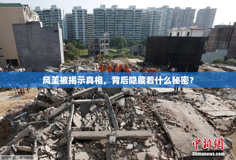 风堇被揭示真相，背后隐藏着什么秘密？