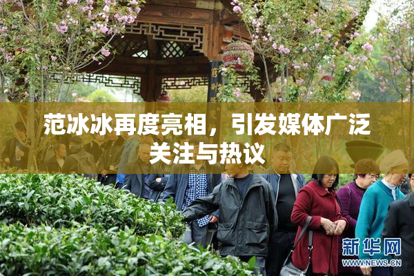 范冰冰再度亮相，引发媒体广泛关注与热议