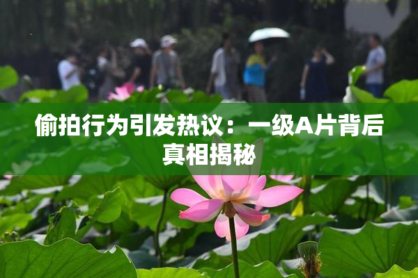 偷拍行为引发热议：一级A片背后真相揭秘
