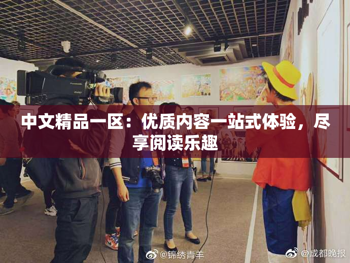 中文精品一区：优质内容一站式体验，尽享阅读乐趣