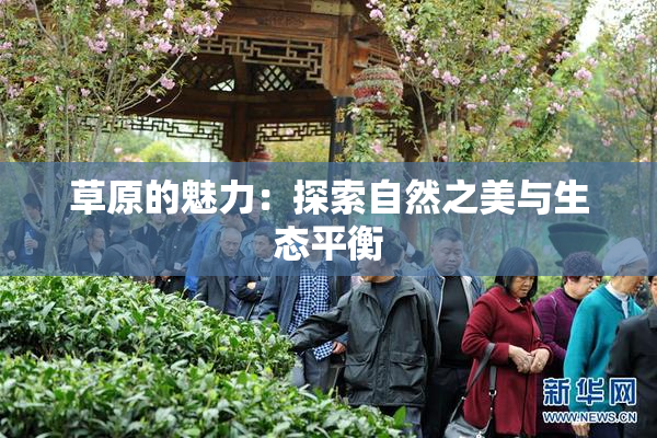草原的魅力：探索自然之美与生态平衡