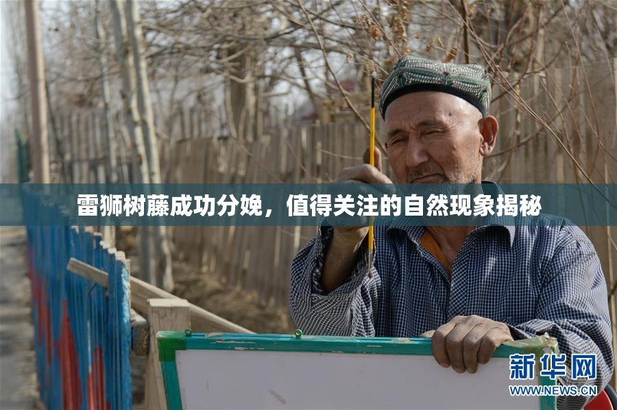 雷狮树藤成功分娩，值得关注的自然现象揭秘