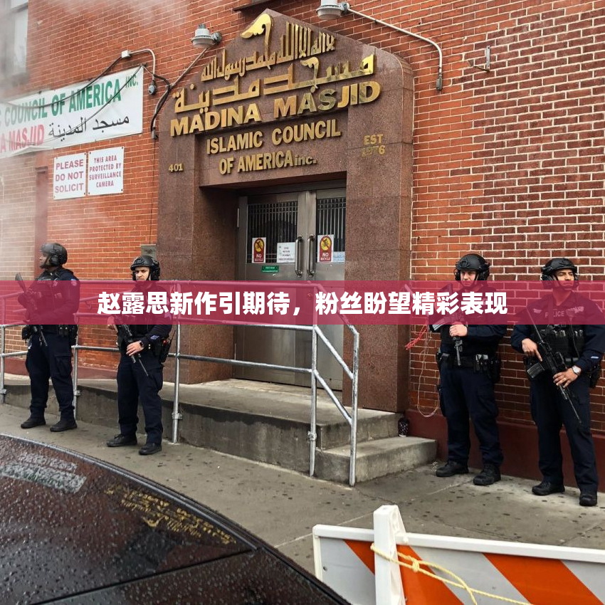 赵露思新作引期待，粉丝盼望精彩表现