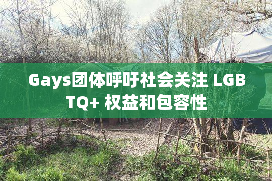 Gays团体呼吁社会关注 LGBTQ+ 权益和包容性