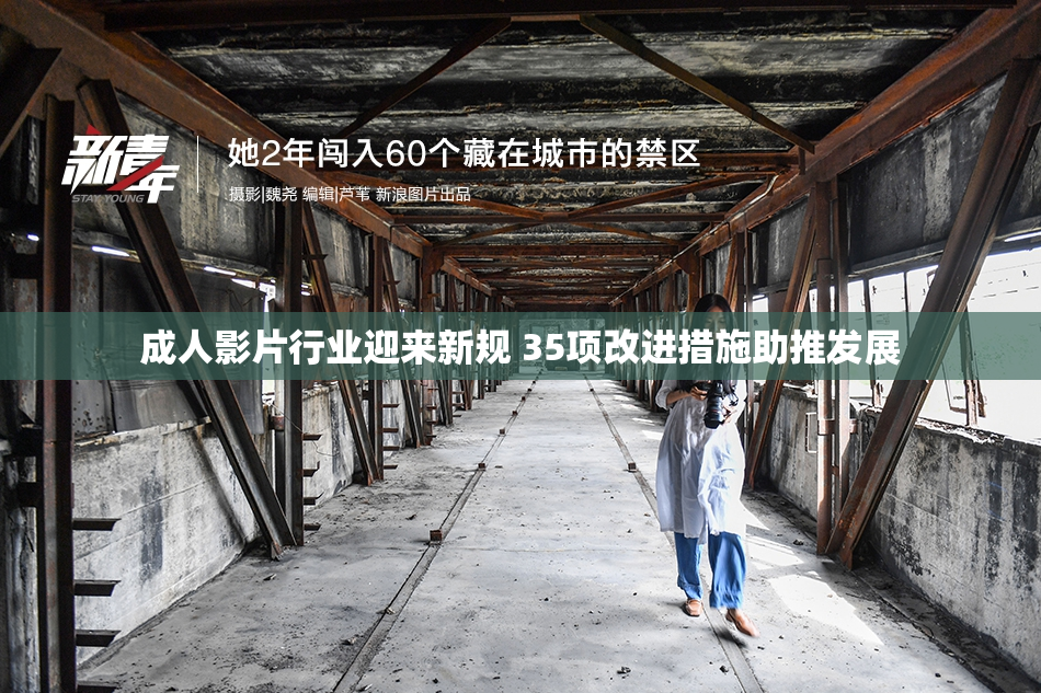 成人影片行业迎来新规 35项改进措施助推发展