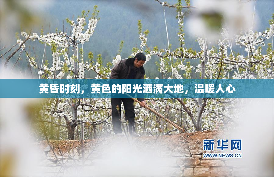 黄昏时刻，黄色的阳光洒满大地，温暖人心