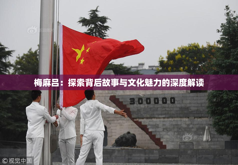 梅麻吕：探索背后故事与文化魅力的深度解读