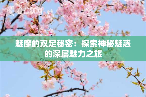 魅魔的双足秘密：探索神秘魅惑的深层魅力之旅