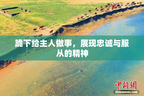 跪下给主人做事，展现忠诚与服从的精神