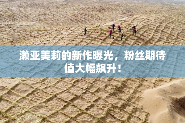 濑亚美莉的新作曝光，粉丝期待值大幅飙升！