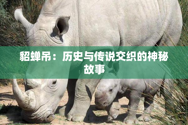 貂蝉吊：历史与传说交织的神秘故事