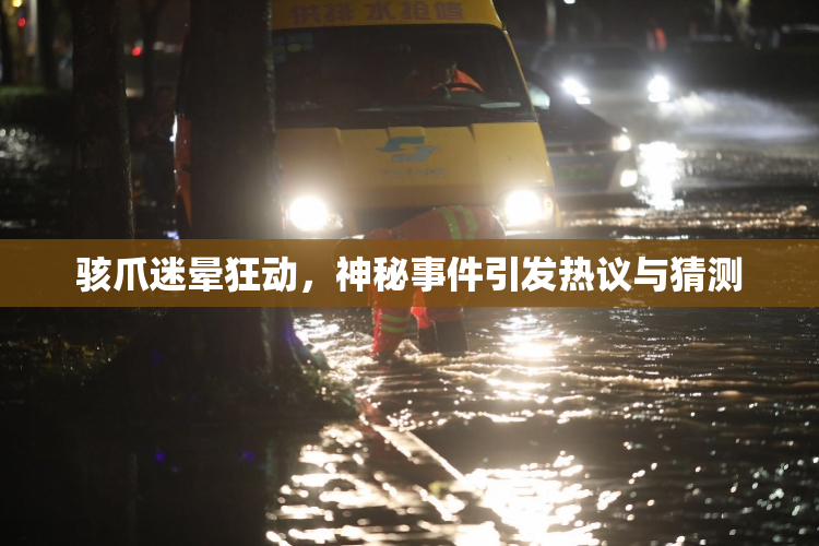 骇爪迷晕狂动，神秘事件引发热议与猜测