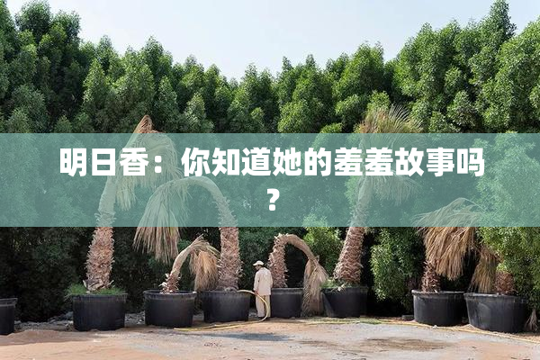 明日香：你知道她的羞羞故事吗？