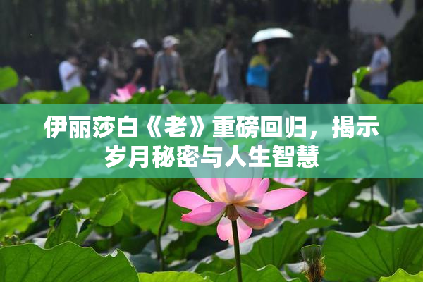 伊丽莎白《老》重磅回归，揭示岁月秘密与人生智慧