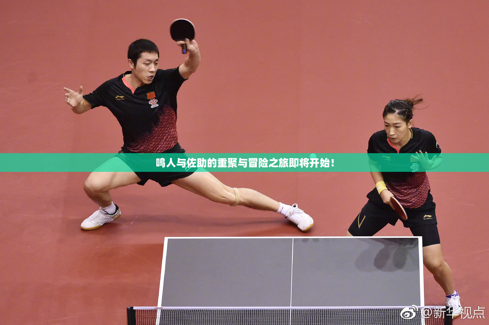 鸣人与佐助的重聚与冒险之旅即将开始！