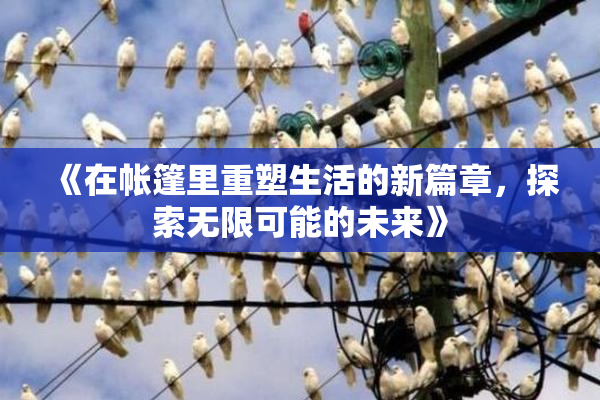 《在帐篷里重塑生活的新篇章，探索无限可能的未来》