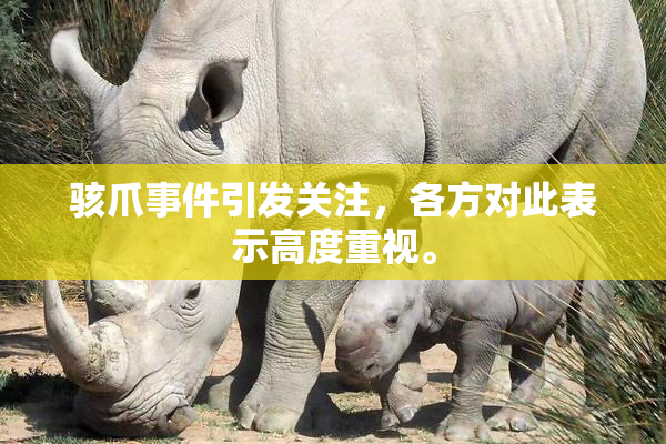 骇爪事件引发关注，各方对此表示高度重视。