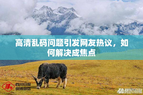 高清乱码问题引发网友热议，如何解决成焦点