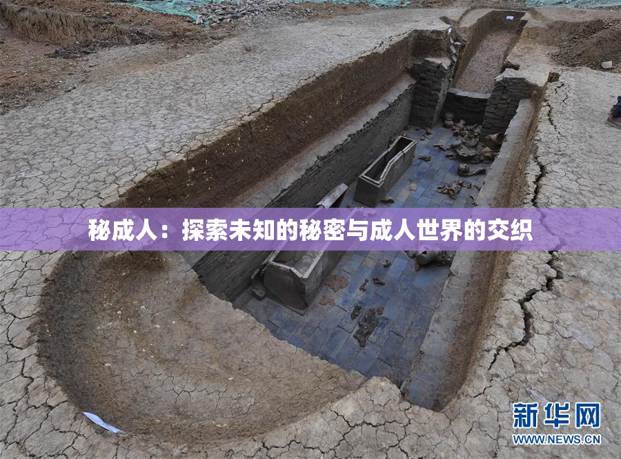 秘成人：探索未知的秘密与成人世界的交织