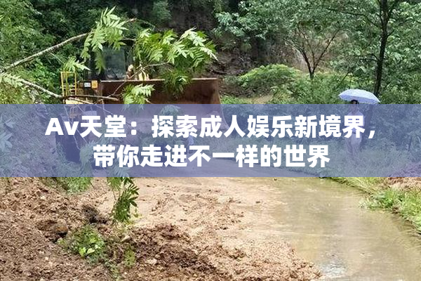 Av天堂：探索成人娱乐新境界，带你走进不一样的世界