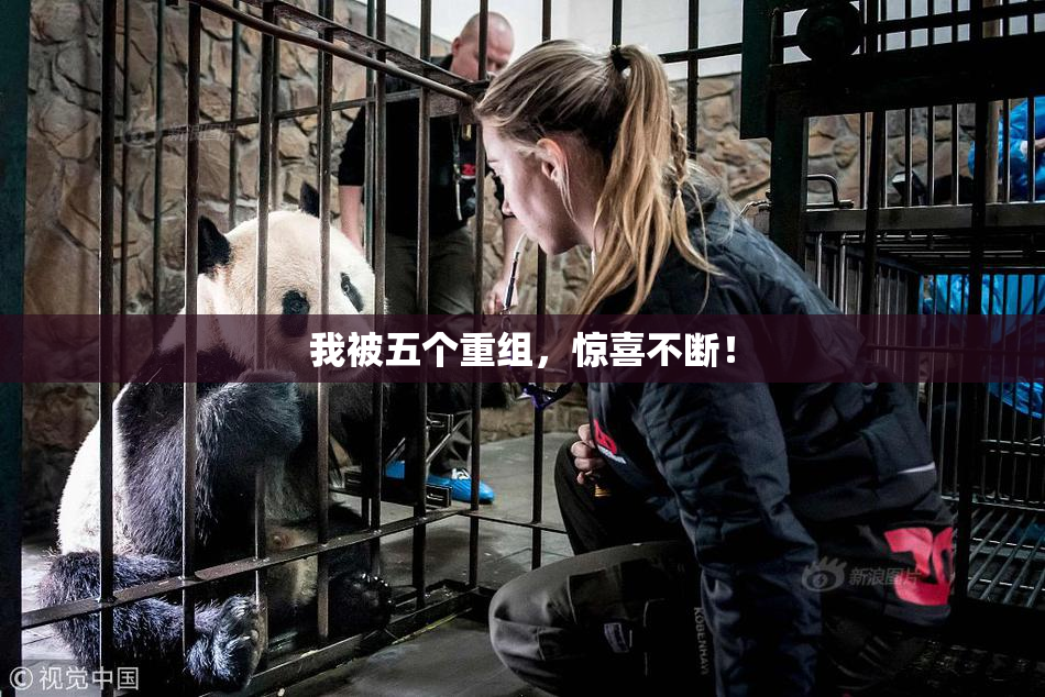我被五个重组，惊喜不断！