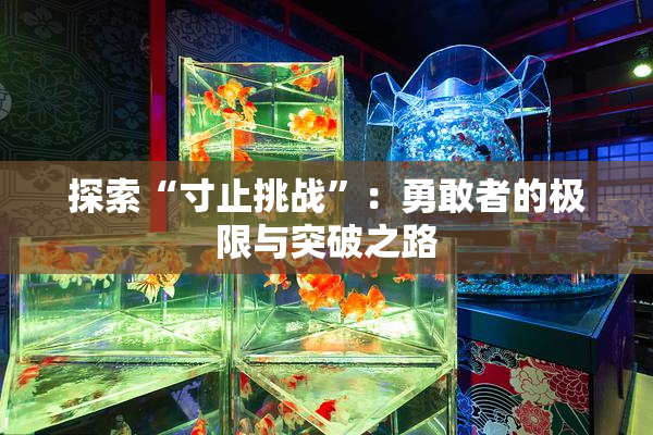 探索“寸止挑战”：勇敢者的极限与突破之路
