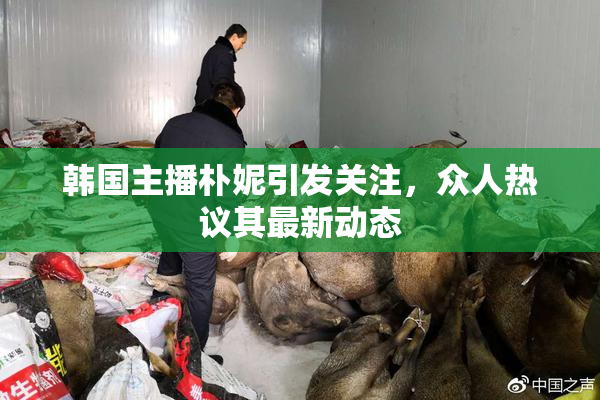 韩国主播朴妮引发关注，众人热议其最新动态