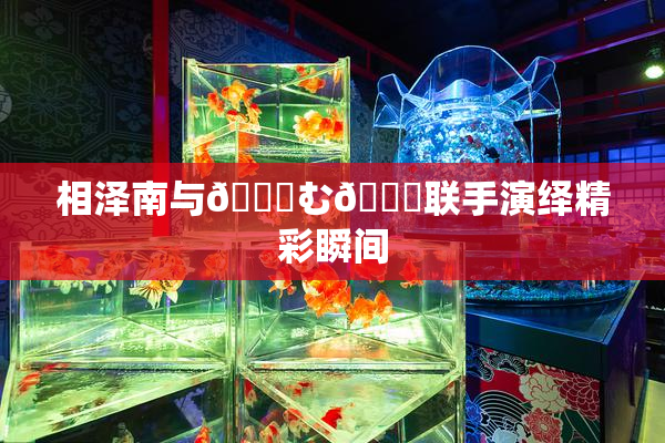 相泽南与😚む🍍联手演绎精彩瞬间