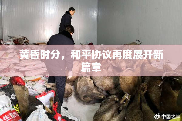 黄昏时分，和平协议再度展开新篇章