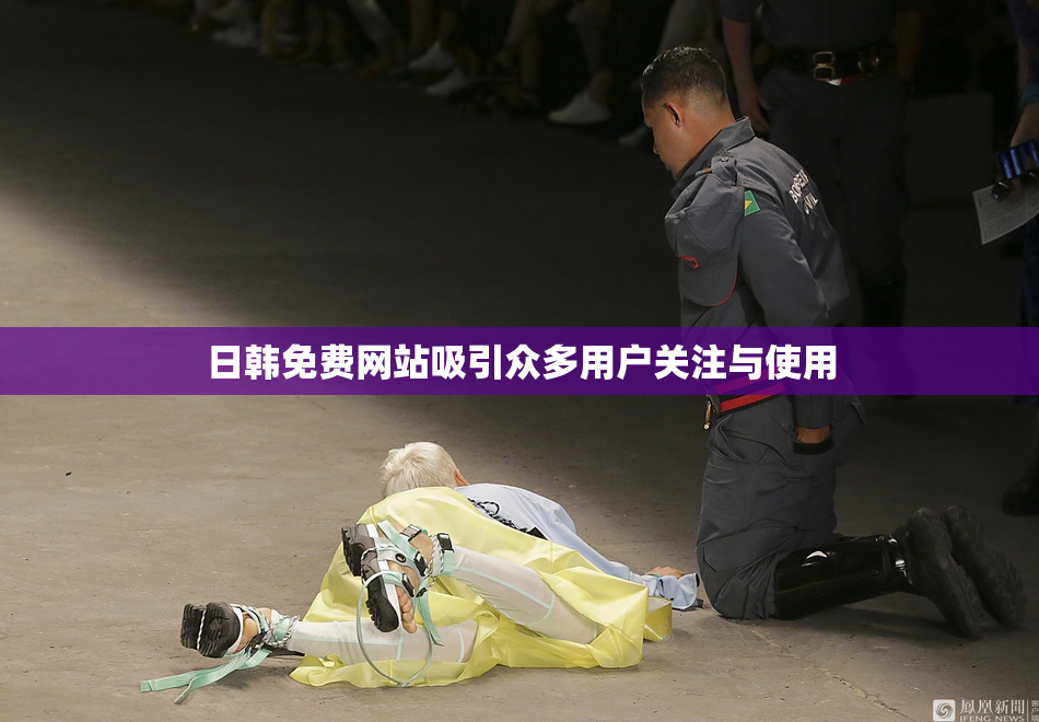 日韩免费网站吸引众多用户关注与使用
