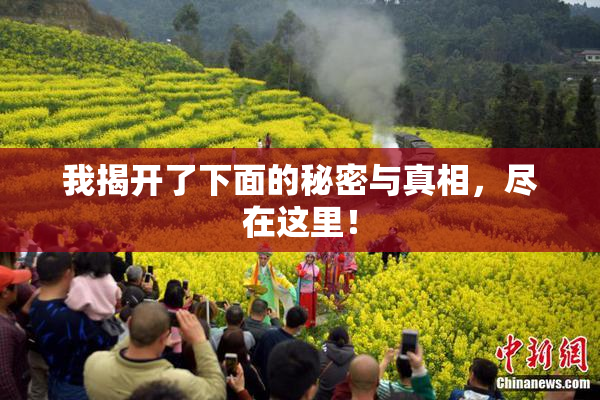 我揭开了下面的秘密与真相，尽在这里！