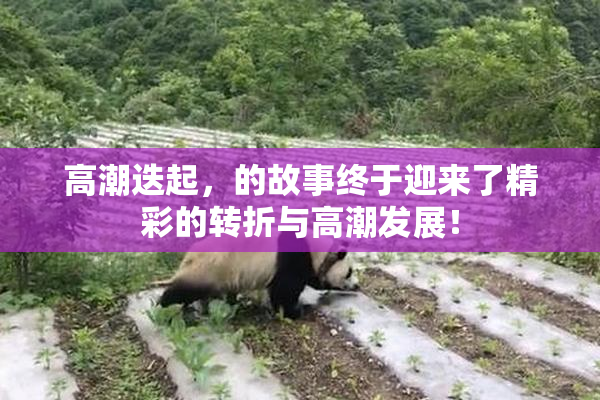 高潮迭起，的故事终于迎来了精彩的转折与高潮发展！