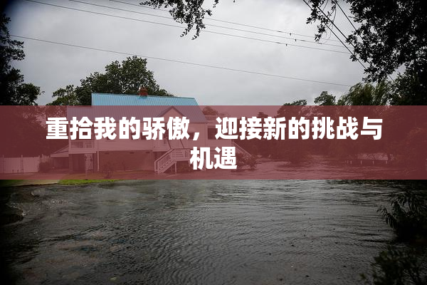 重拾我的骄傲，迎接新的挑战与机遇