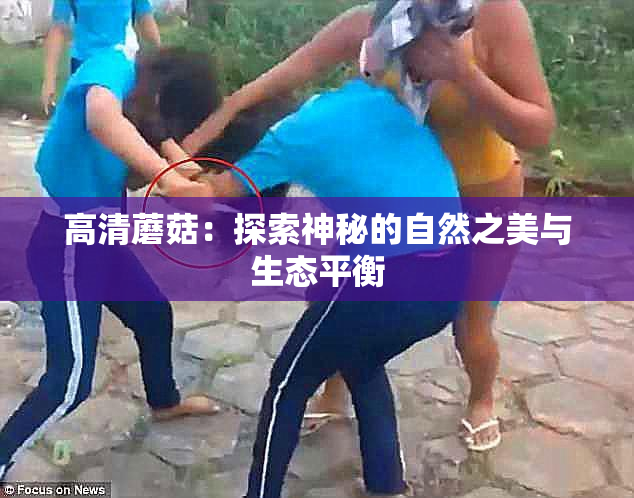 高清蘑菇：探索神秘的自然之美与生态平衡
