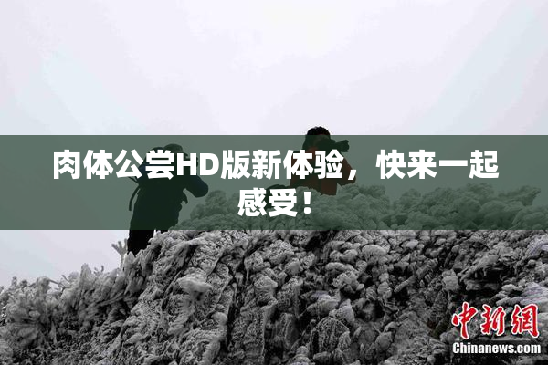 肉体公尝HD版新体验，快来一起感受！