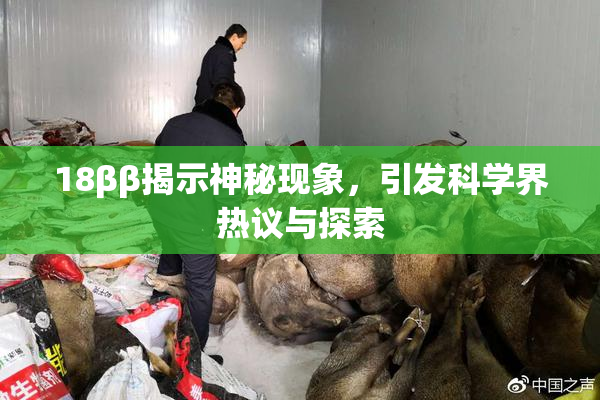 18ββ揭示神秘现象，引发科学界热议与探索