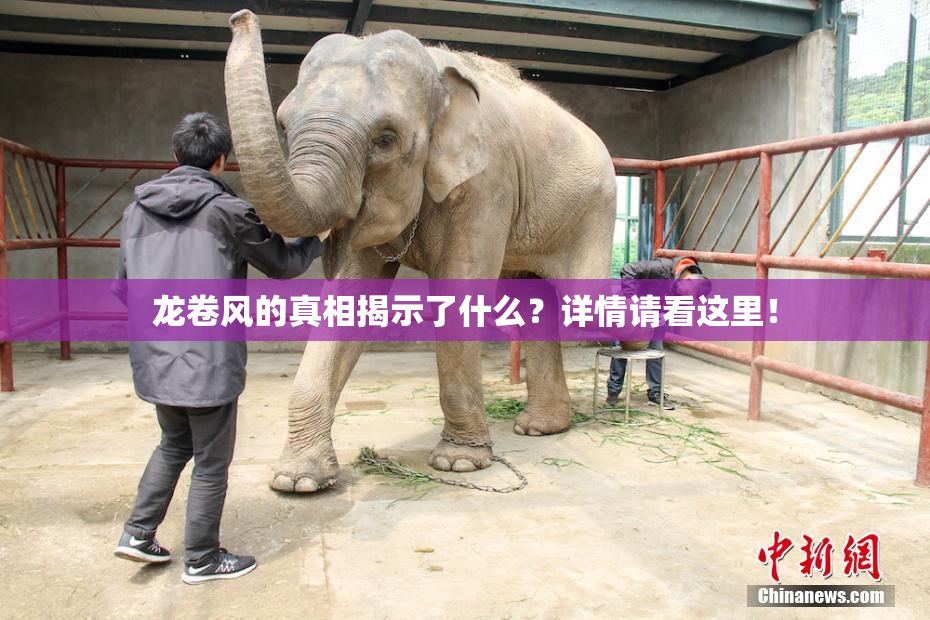 龙卷风的真相揭示了什么？详情请看这里！