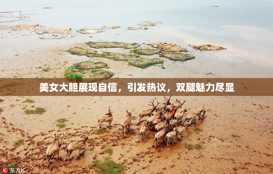 美女大胆展现自信，引发热议，双腿魅力尽显