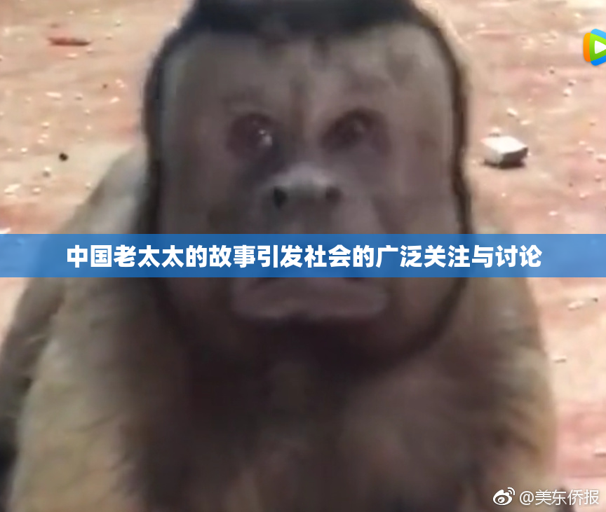 中国老太太的故事引发社会的广泛关注与讨论