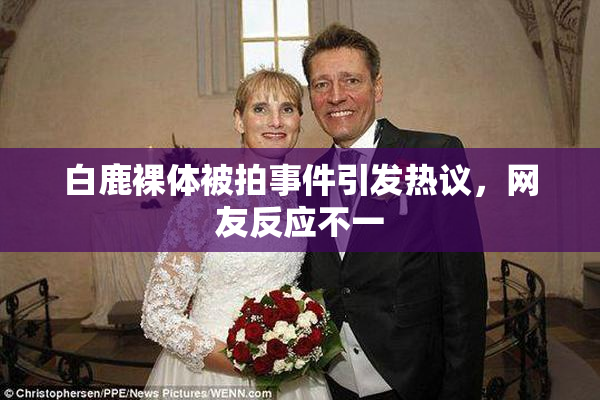 白鹿裸体被拍事件引发热议，网友反应不一
