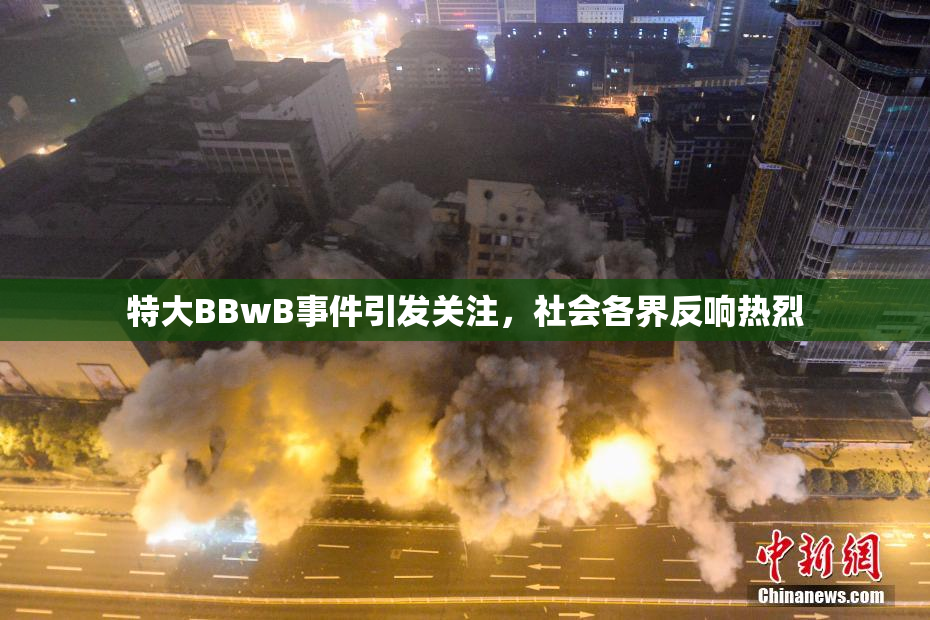 特大BBwB事件引发关注，社会各界反响热烈