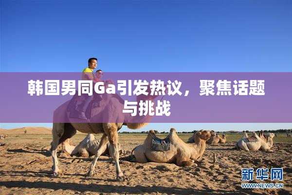 韩国男同Ga引发热议，聚焦话题与挑战
