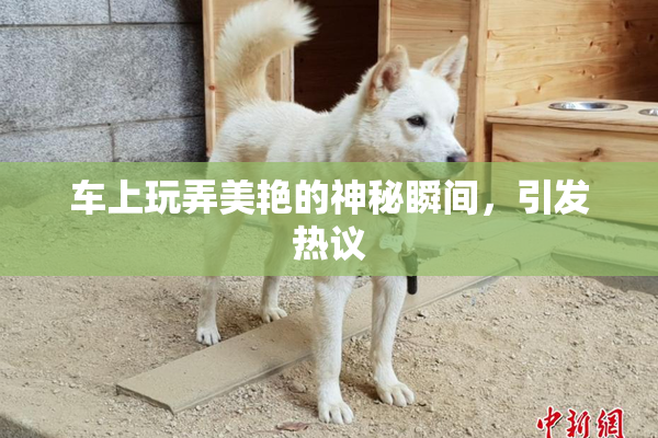 车上玩弄美艳的神秘瞬间，引发热议