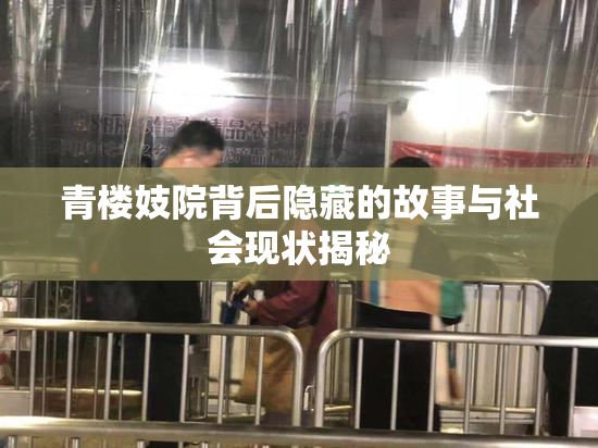 青楼妓院背后隐藏的故事与社会现状揭秘