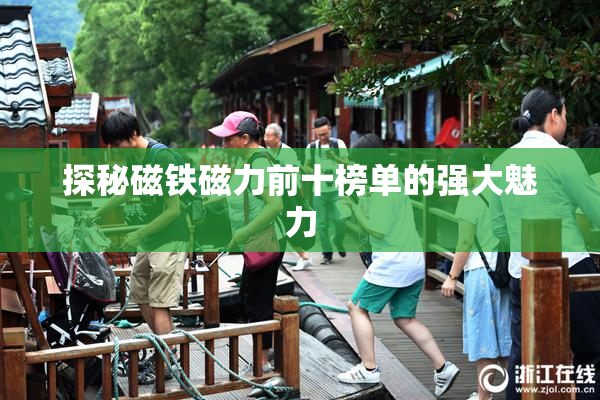 探秘磁铁磁力前十榜单的强大魅力