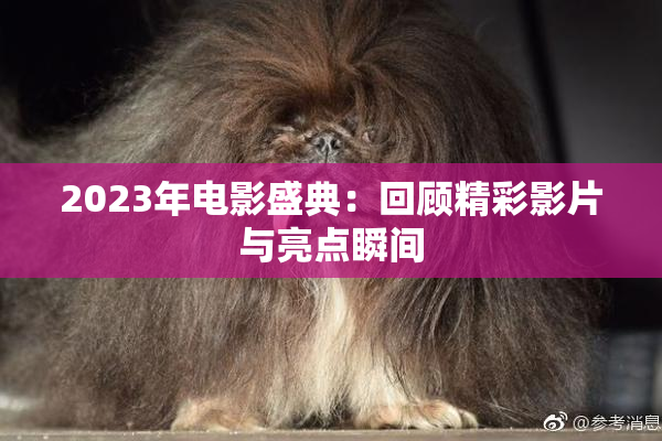 2023年电影盛典：回顾精彩影片与亮点瞬间