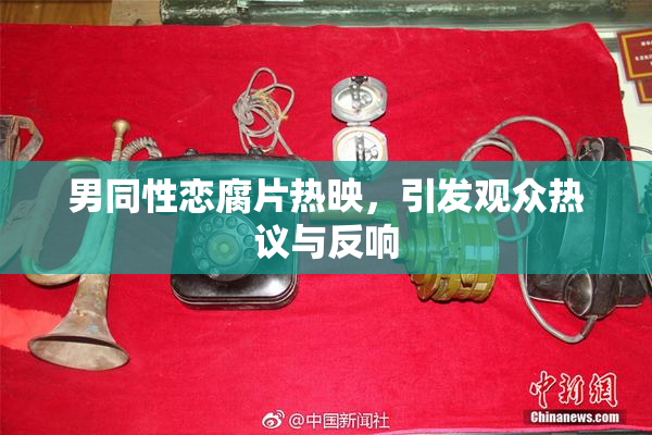 男同性恋腐片热映，引发观众热议与反响